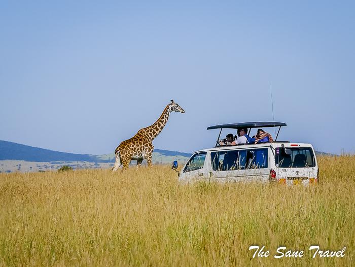 Unveiling the Majesty of⁣ the Masai Mara: A Safari Overview