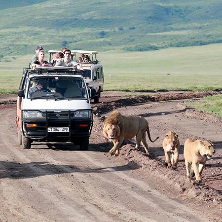 Discovering Kenya’s Hidden Gems: Top Travel Destinations