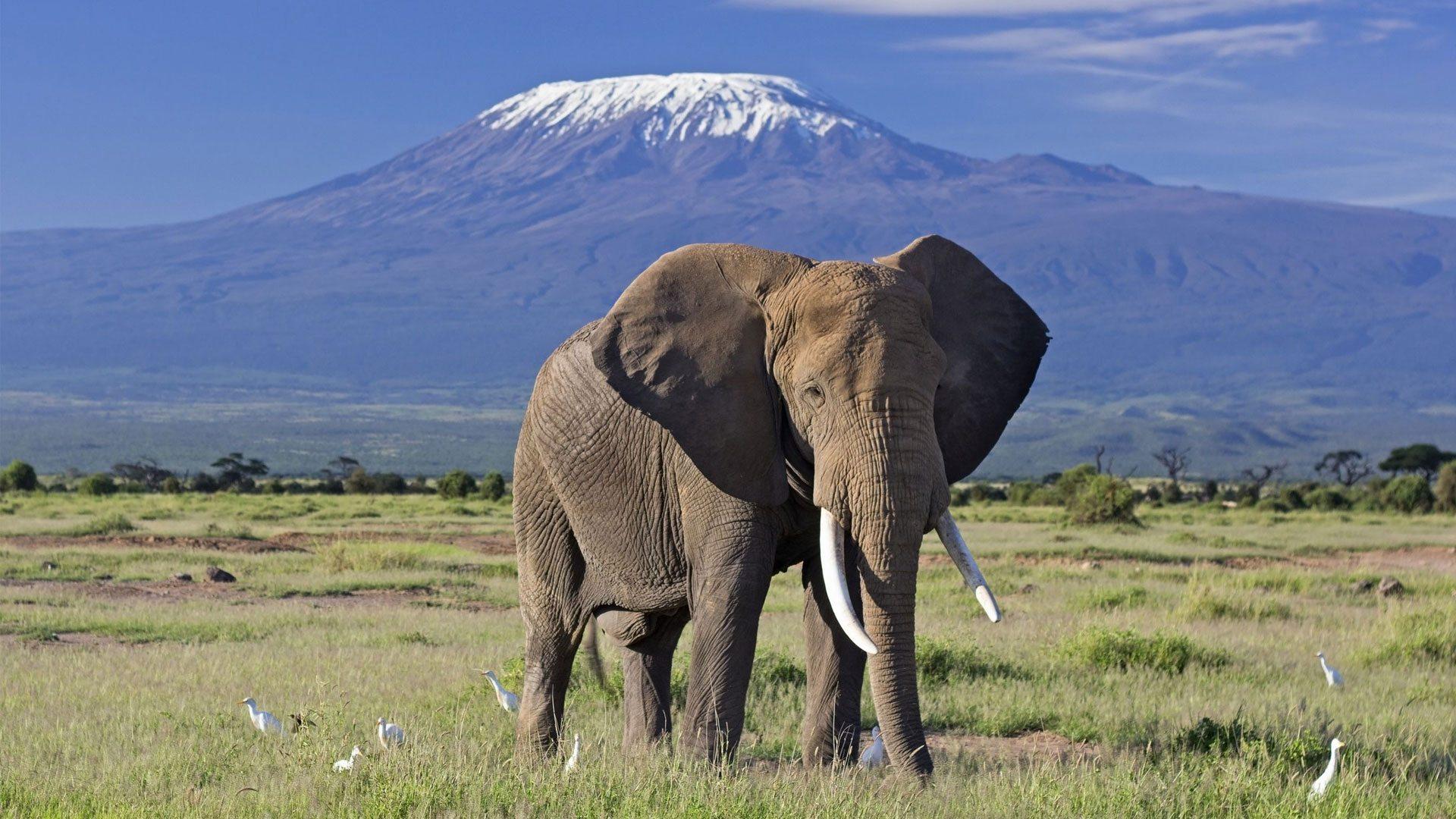 Top Tourist Destinations in Kenya: Your Ultimate Safari & Adventures Guide