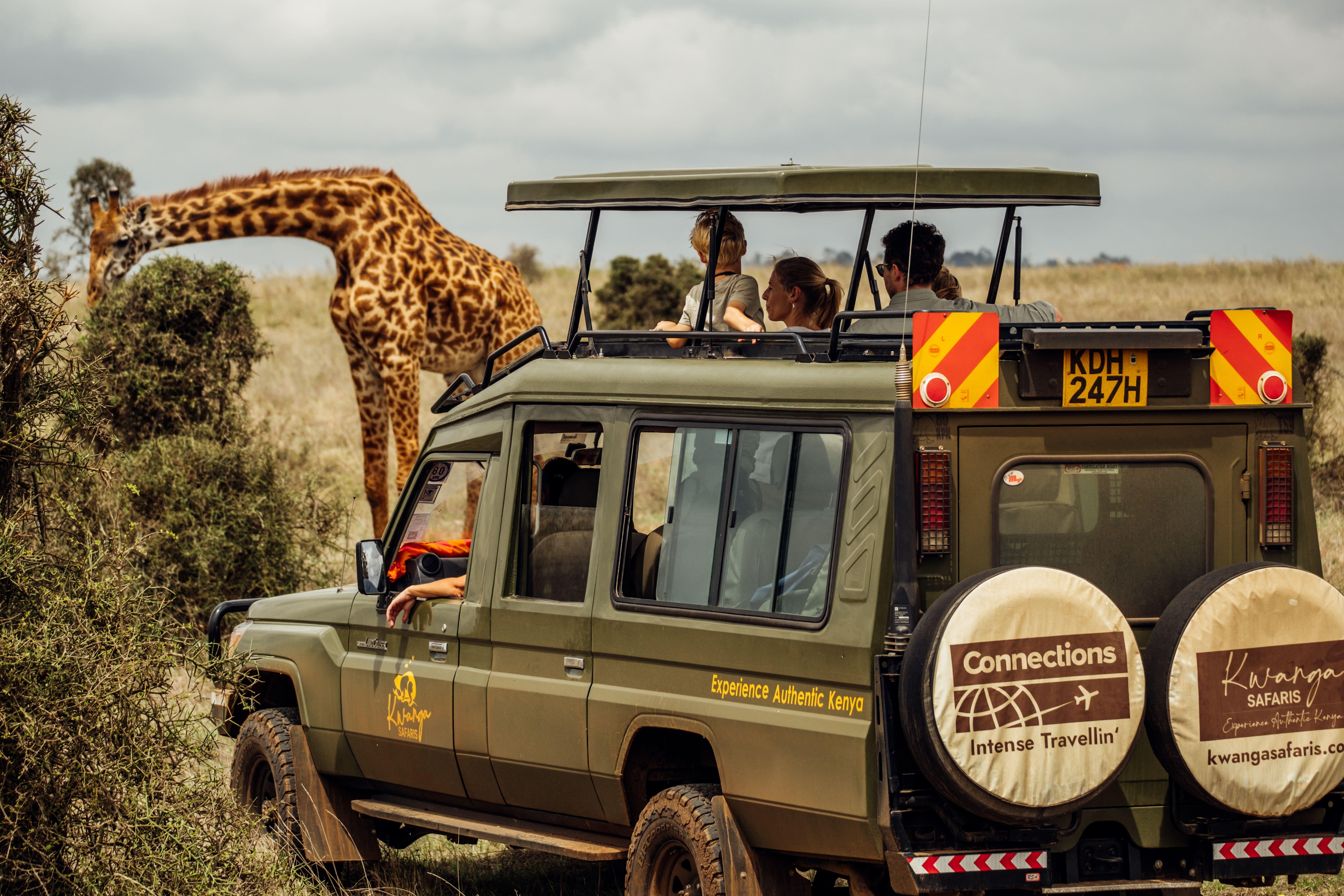Creating Unforgettable Moments: activities Beyond the Game Drive