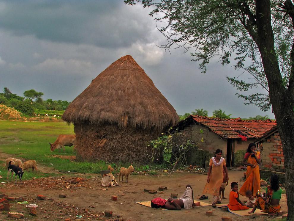 Villages and Wildlife: Immersive Adventures in Untouched Kenyan‍ Communities