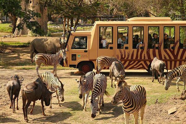 Top 5 Budget Safaris in Kenya