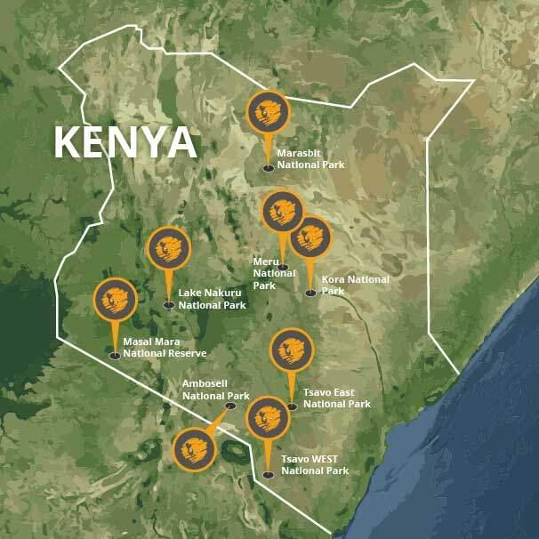 Explore Kenya: Your Ultimate Guide to Tours & Destinations