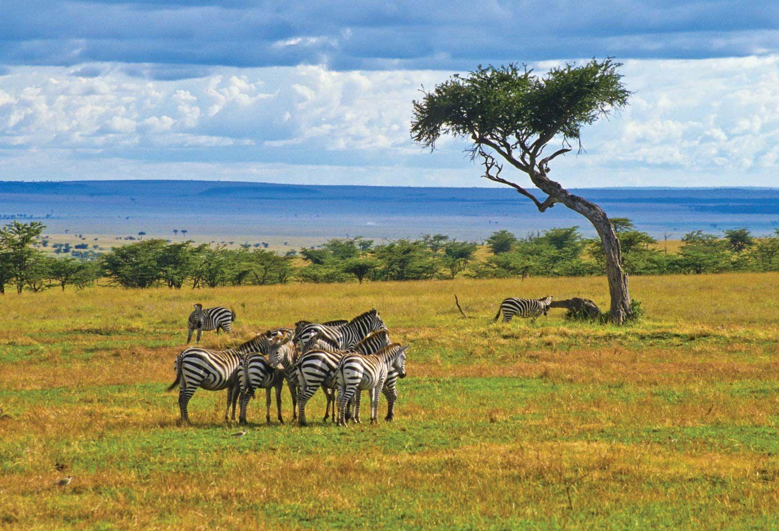 Unveiling Kenya's Hidden Gems ⁢for Ultimate Relaxation