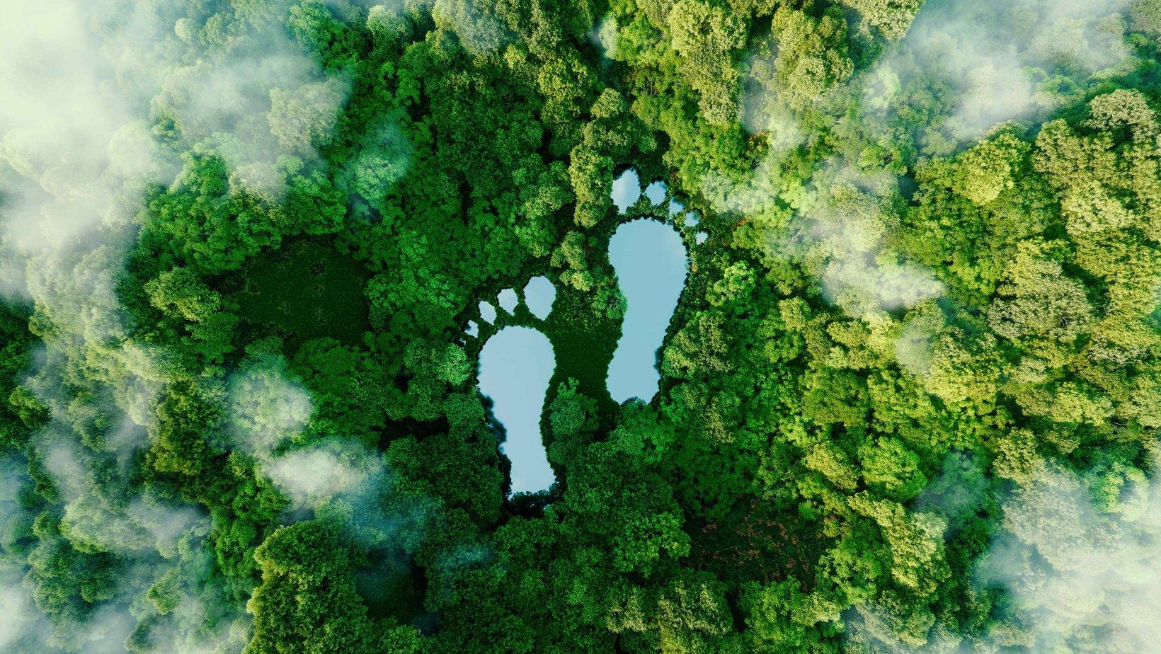 Shaping Lasting Adventures: Embracing‍ Eco-Tourism in​ Kenya