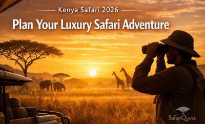 How to Plan the Perfect Luxury Safari in Kenya 2026: A Step-by-Step Guide