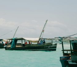 Coastal BnB in Mombasa, plus stays in Nairobi and Diani, by Avenue Paradise Adventures.