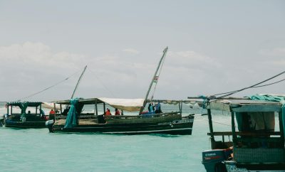 Discover Avenue Paradise Adventures: Top BnBs in Mombasa, Nairobi & Diani